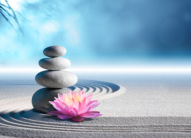 pink water lily in rock garden – meditation of soul